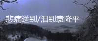 悲痛送别/泪别袁隆平 花海悼国士
